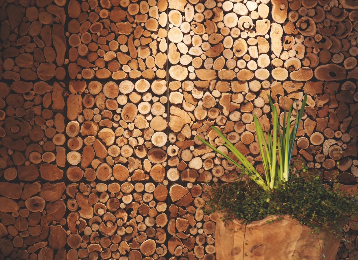 Eco & Wellness Boutique Hotel Sonne 利维尼奥 外观 照片